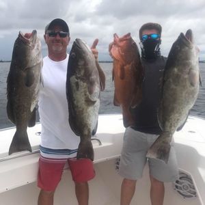 Meet your Posher, Hunter